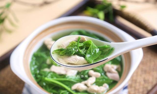 这树叶很常见,很多人却没吃过,鲜嫩可口,清肝火,现在吃正当时|桑叶