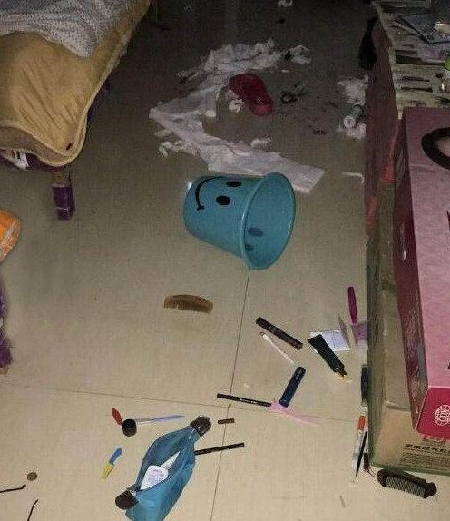 女子被甩了喝酒买醉,回家教训哈士奇,隔天二哈竟把化妆品全拆了休闲区蓝鸢梦想 - Www.slyday.coM 女子被甩了喝酒买醉,回家教训哈士奇,隔天二哈竟把化妆品全拆了休闲区蓝鸢梦想 - Www.slyday.coM