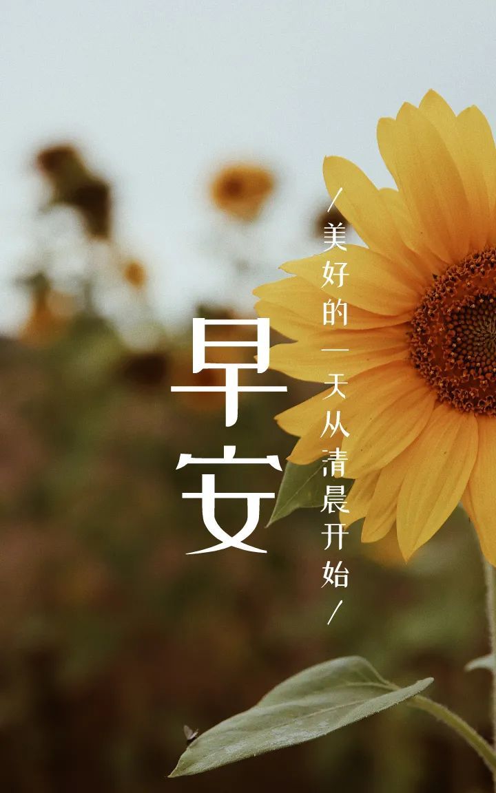 早安图片正能量语录文案