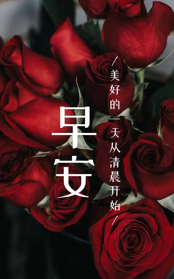 早安图片正能量语录文案