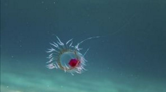 真正的长寿是多久——原来永生真的存在休闲区蓝鸢梦想 - Www.slyday.coM 真正的长寿是多久——原来永生真的存在休闲区蓝鸢梦想 - Www.slyday.coM