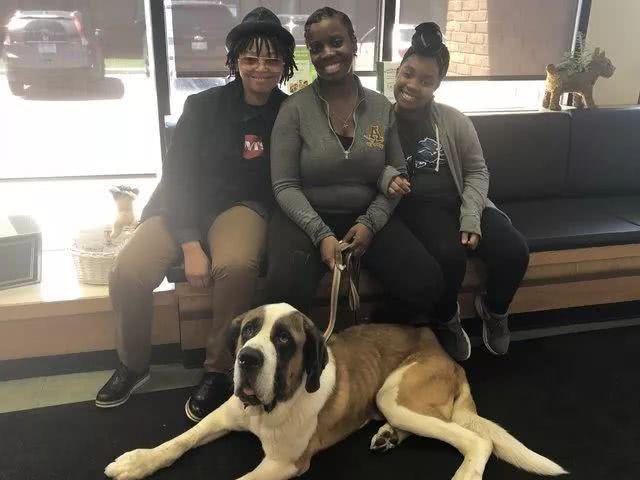 5岁狗狗被反锁地下室，啃木头苦撑半个月，拯救后它开心的笑了！休闲区蓝鸢梦想 - Www.slyday.coM