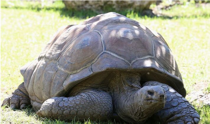 真正的长寿是多久——原来永生真的存在休闲区蓝鸢梦想 - Www.slyday.coM 真正的长寿是多久——原来永生真的存在休闲区蓝鸢梦想 - Www.slyday.coM