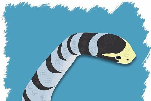 老人说见到正在蜕皮的蛇不妙有何科学依据