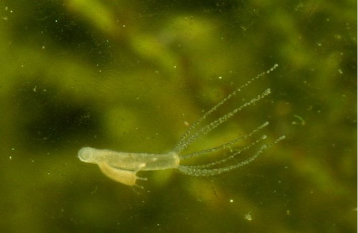 真正的长寿是多久——原来永生真的存在休闲区蓝鸢梦想 - Www.slyday.coM 真正的长寿是多久——原来永生真的存在休闲区蓝鸢梦想 - Www.slyday.coM