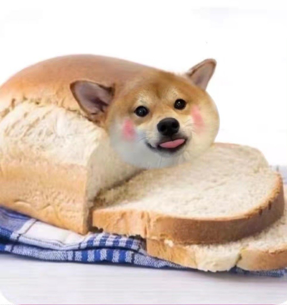 如果我变成面包狗你还会爱我吗?