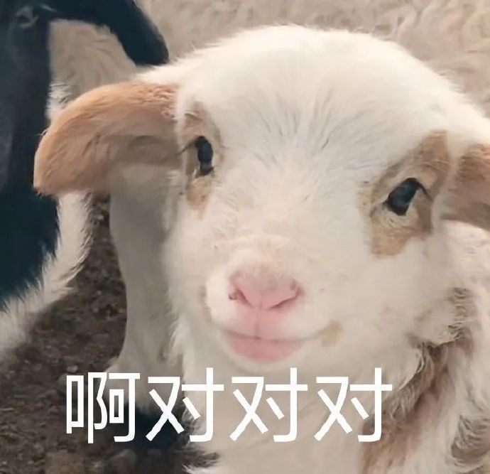 精选表情包，拿图吱声 啊对对对 好的呢 伤到了……|表情包|春游|爱我|公主|家族_新浪新闻