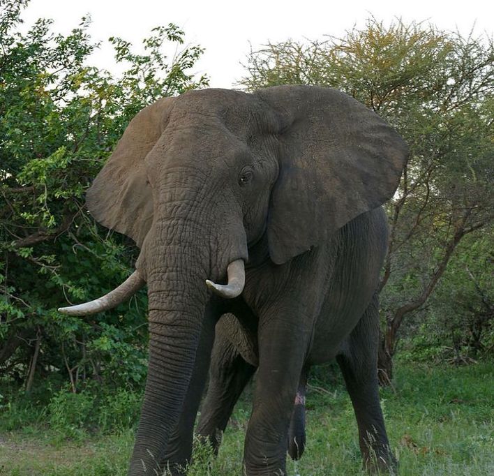 真正的长寿是多久——原来永生真的存在休闲区蓝鸢梦想 - Www.slyday.coM 真正的长寿是多久——原来永生真的存在休闲区蓝鸢梦想 - Www.slyday.coM