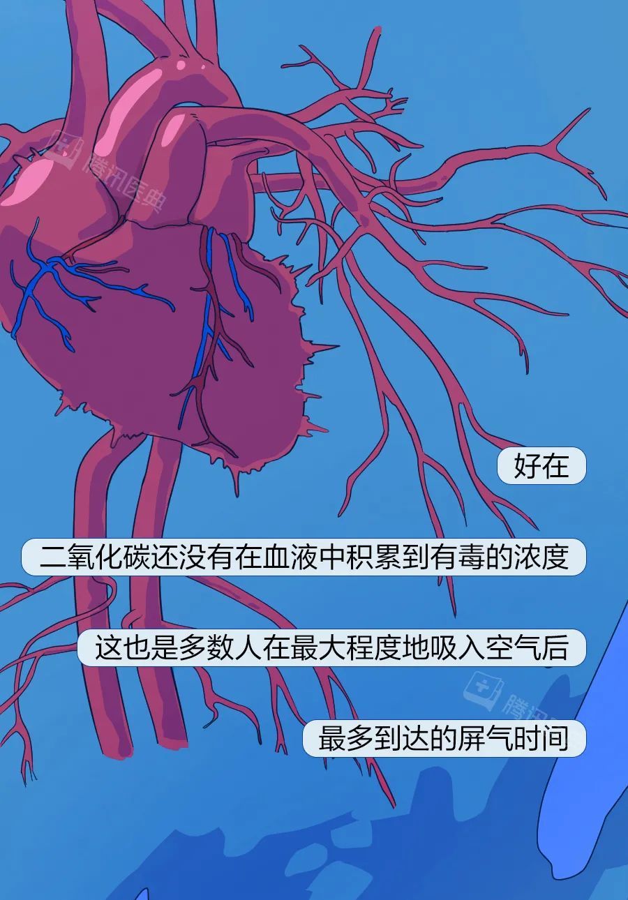 窒息死亡前的5分钟,人会经历什么?休闲区蓝鸢梦想 - Www.slyday.coM 窒息死亡前的5分钟,人会经历什么?休闲区蓝鸢梦想 - Www.slyday.coM