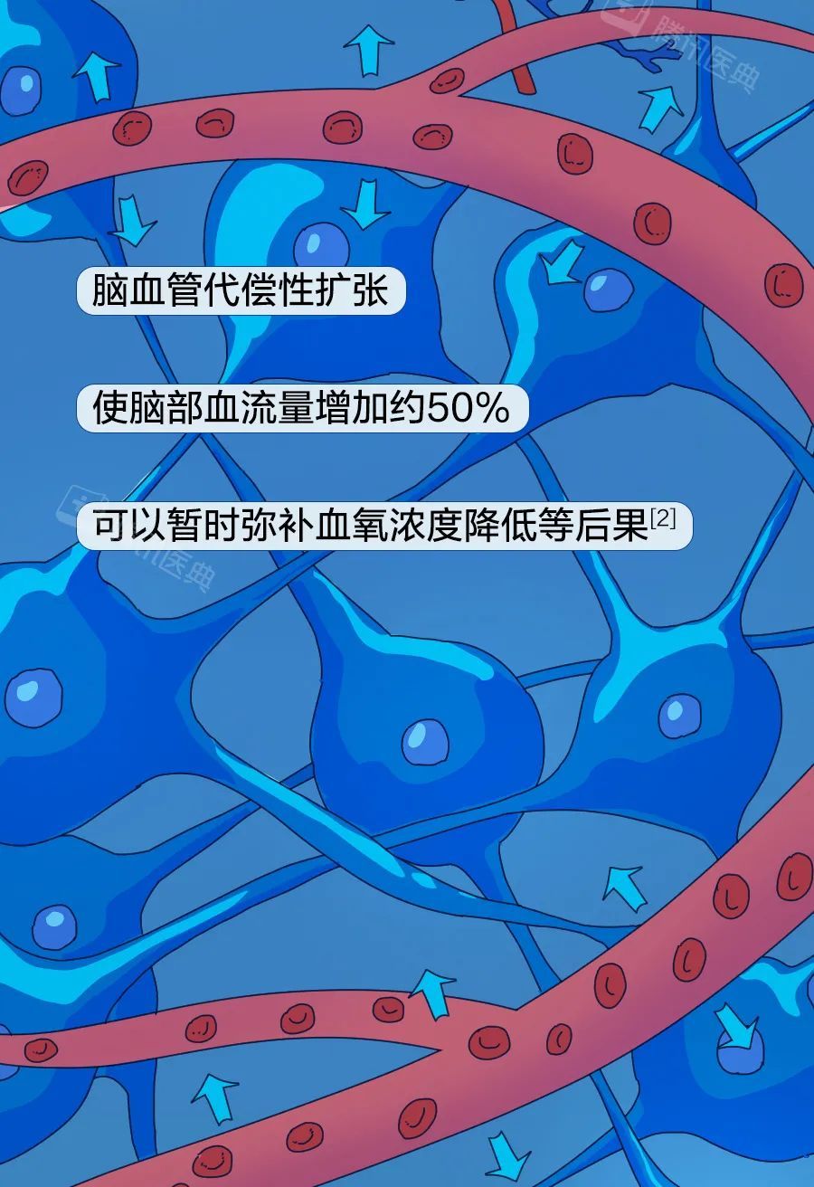 窒息死亡前的5分钟,人会经历什么?休闲区蓝鸢梦想 - Www.slyday.coM 窒息死亡前的5分钟,人会经历什么?休闲区蓝鸢梦想 - Www.slyday.coM