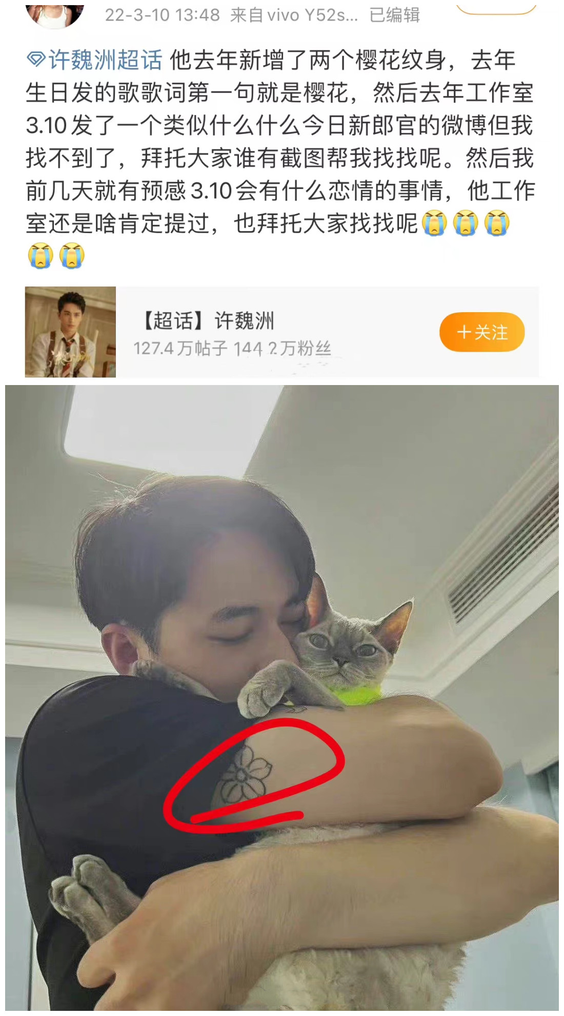 许魏洲真的很爱自己的妻子,他在胳膊上纹了樱花的纹身,在新歌《stay