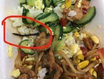 惊喜还是惊吓丨食堂档口出现一只老鼠擦嘴，无视学生围观休闲区蓝鸢梦想 - Www.slyday.coM