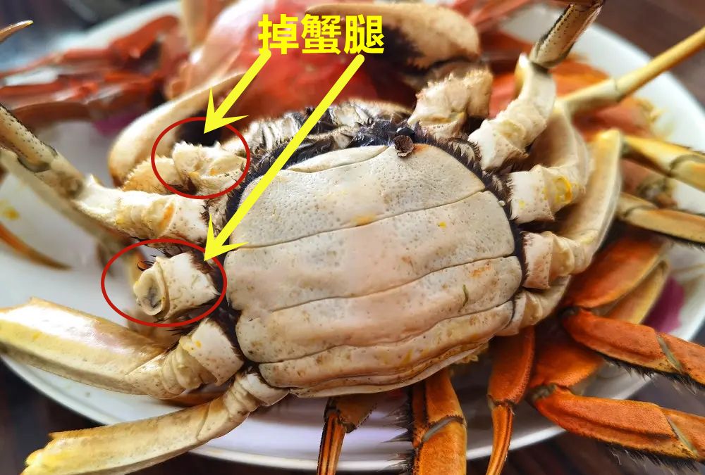 蒸螃蟹仰着蒸还是趴着蒸很多人做错难怪蟹黄外流腿掉一锅