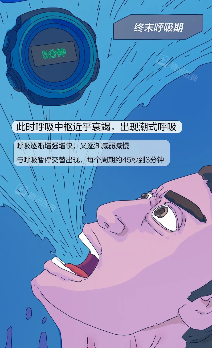 窒息死亡前的5分钟,人会经历什么?休闲区蓝鸢梦想 - Www.slyday.coM 窒息死亡前的5分钟,人会经历什么?休闲区蓝鸢梦想 - Www.slyday.coM