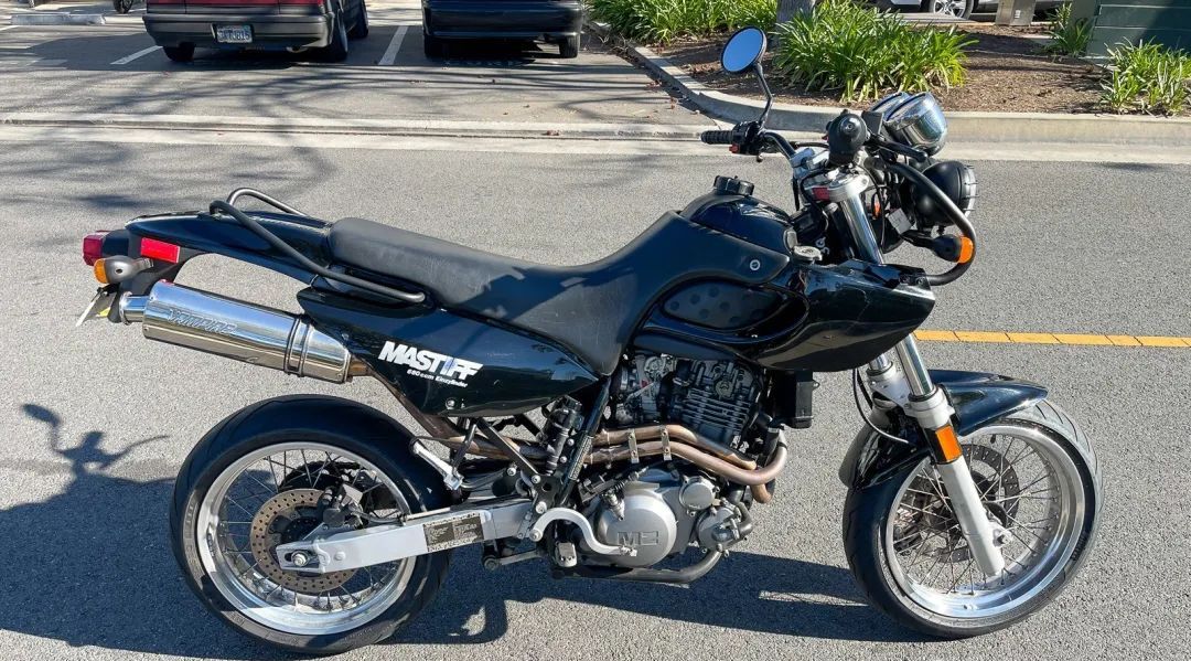 mz大单缸660獒犬