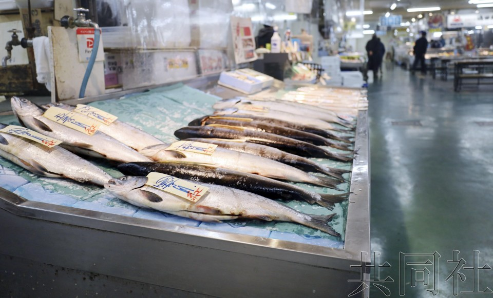 的热门景点"钏路和商市场"经营鲜鱼店的田村秀树(59岁)垂头丧气地说道