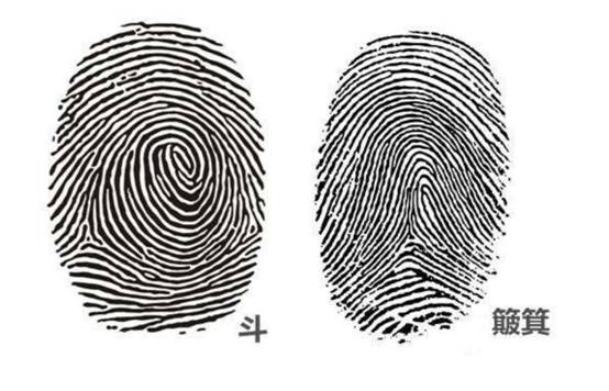 指纹真的能决定人生吗?民间流传“一斗穷二斗富”,是真是假?休闲区蓝鸢梦想 - Www.slyday.coM 指纹真的能决定人生吗?民间流传“一斗穷二斗富”,是真是假?休闲区蓝鸢梦想 - Www.slyday.coM