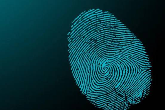 指纹真的能决定人生吗?民间流传“一斗穷二斗富”,是真是假?休闲区蓝鸢梦想 - Www.slyday.coM 指纹真的能决定人生吗?民间流传“一斗穷二斗富”,是真是假?休闲区蓝鸢梦想 - Www.slyday.coM