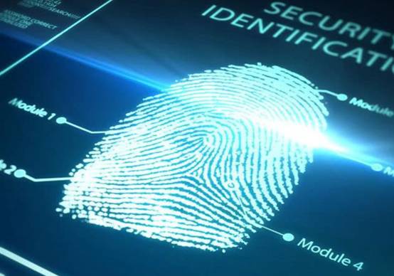 指纹真的能决定人生吗?民间流传“一斗穷二斗富”,是真是假?休闲区蓝鸢梦想 - Www.slyday.coM 指纹真的能决定人生吗?民间流传“一斗穷二斗富”,是真是假?休闲区蓝鸢梦想 - Www.slyday.coM