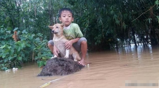 小男孩的家被水淹了,他抱着小狗逃生,眼前的画面太暖心了休闲区蓝鸢梦想 - Www.slyday.coM 小男孩的家被水淹了,他抱着小狗逃生,眼前的画面太暖心了休闲区蓝鸢梦想 - Www.slyday.coM