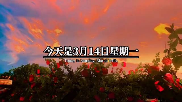 今天是3月14日星期一白色情人节一定要在下午13点14分