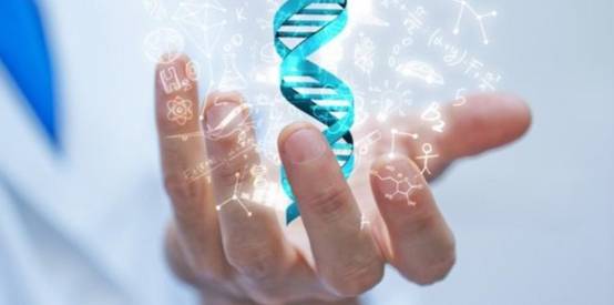 指纹真的能决定人生吗?民间流传“一斗穷二斗富”,是真是假?休闲区蓝鸢梦想 - Www.slyday.coM 指纹真的能决定人生吗?民间流传“一斗穷二斗富”,是真是假?休闲区蓝鸢梦想 - Www.slyday.coM