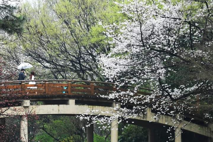 历史少见，热到31.3℃又刮大风还砸冰雹，杭州这天为啥这么暴脾气？休闲区蓝鸢梦想 - Www.slyday.coM