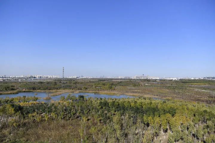 新华社看津南休闲区蓝鸢梦想 - Www.slyday.coM