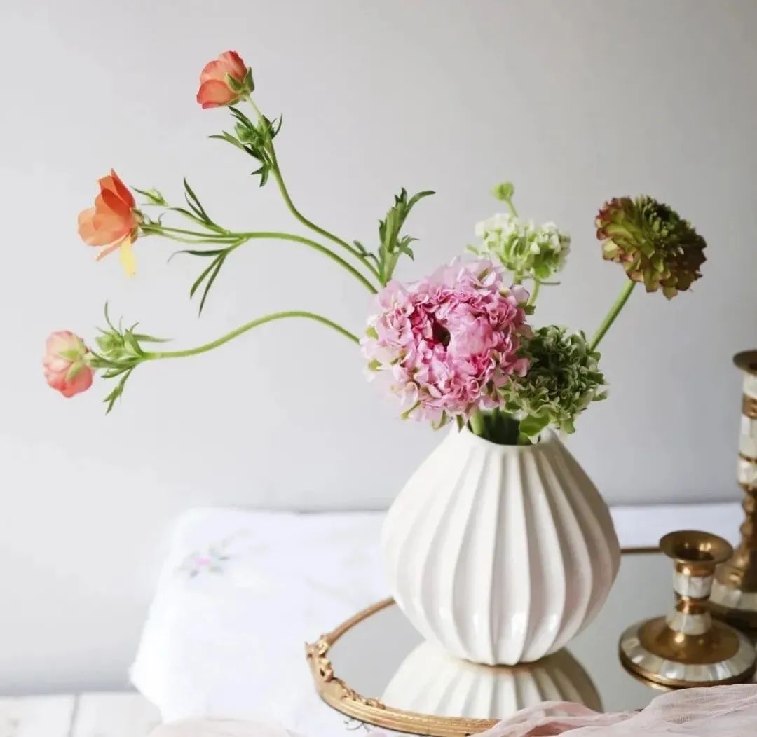 这几种早春网红花材 长得美 花期还长 随手一拍都被赞爆 色系 新浪新闻