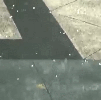 今天杭州冲上30℃，但刚刚又下冰雹了！三波冷空气马上要来了...休闲区蓝鸢梦想 - Www.slyday.coM