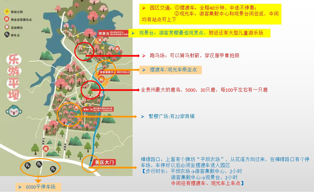 不想错过2022的平坝樱花这条攻略告诉你