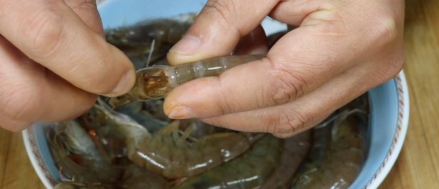 想不到大虾去虾线太简单了,不用牙签一秒一个,简单快速不脏手休闲区蓝鸢梦想 - Www.slyday.coM 想不到大虾去虾线太简单了,不用牙签一秒一个,简单快速不脏手休闲区蓝鸢梦想 - Www.slyday.coM