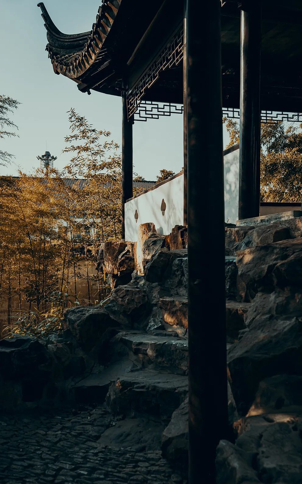 苏州日历竹林掩映看山楼