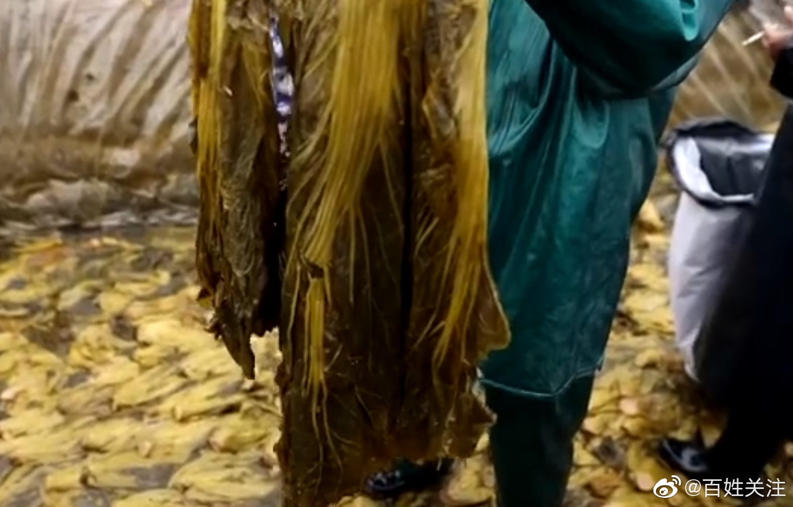 肯德基称插旗菜业并非其供应商：已勒令其撤下官网不实信息休闲区蓝鸢梦想 - Www.slyday.coM