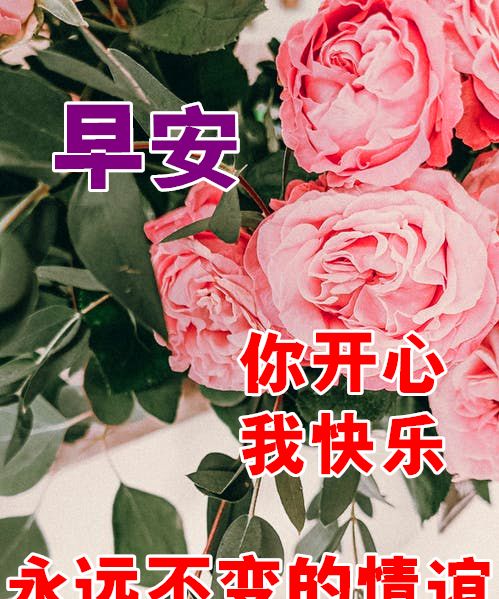 特漂亮的早安祝福唯美图片带字温馨 最新早上好祝福问候语|心情|好运