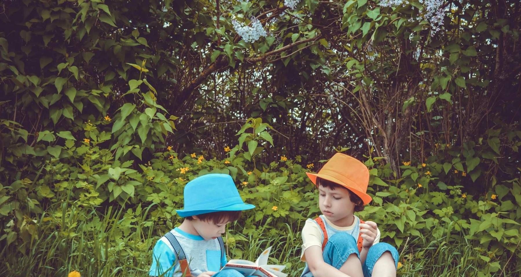 家长们,别忽视了出生顺序对孩子性格的影响休闲区蓝鸢梦想 - Www.slyday.coM 家长们,别忽视了出生顺序对孩子性格的影响休闲区蓝鸢梦想 - Www.slyday.coM