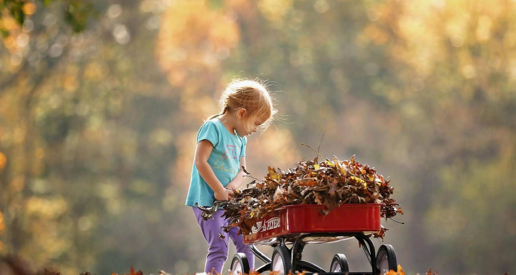 家长们,别忽视了出生顺序对孩子性格的影响休闲区蓝鸢梦想 - Www.slyday.coM 家长们,别忽视了出生顺序对孩子性格的影响休闲区蓝鸢梦想 - Www.slyday.coM