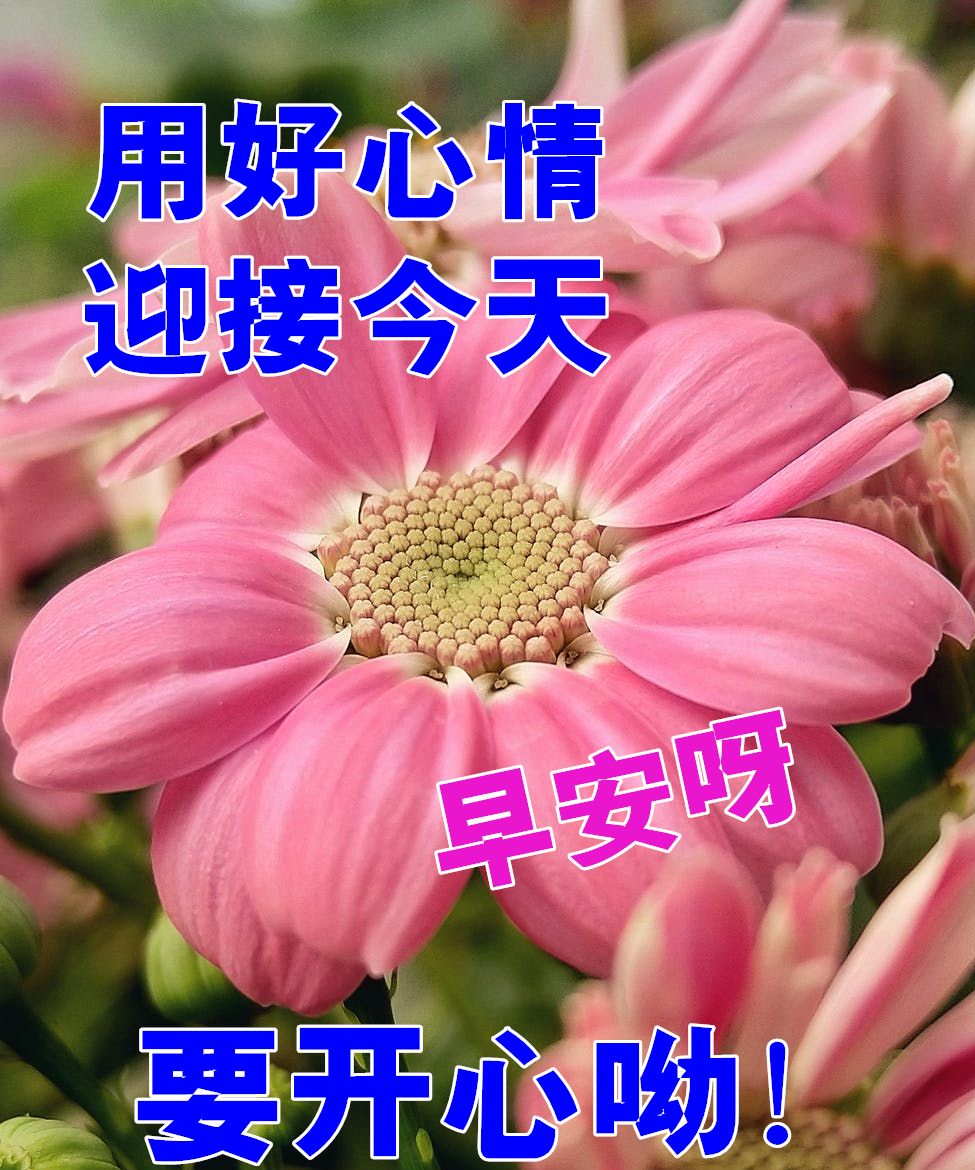 特漂亮的早安祝福唯美图片带字温馨最新早上好祝福问候语