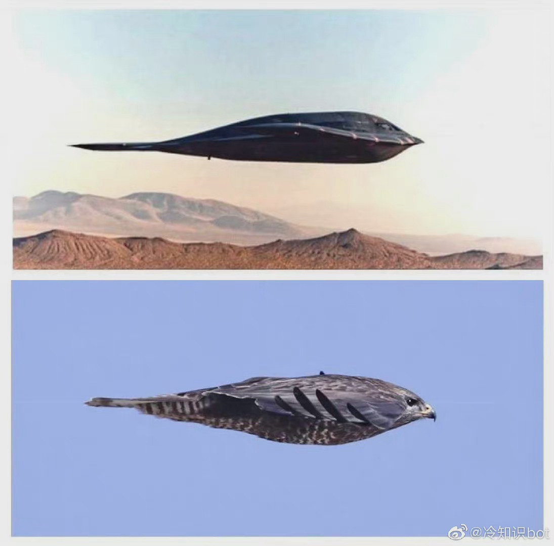 新闻搜索_新浪搜索_新浪网