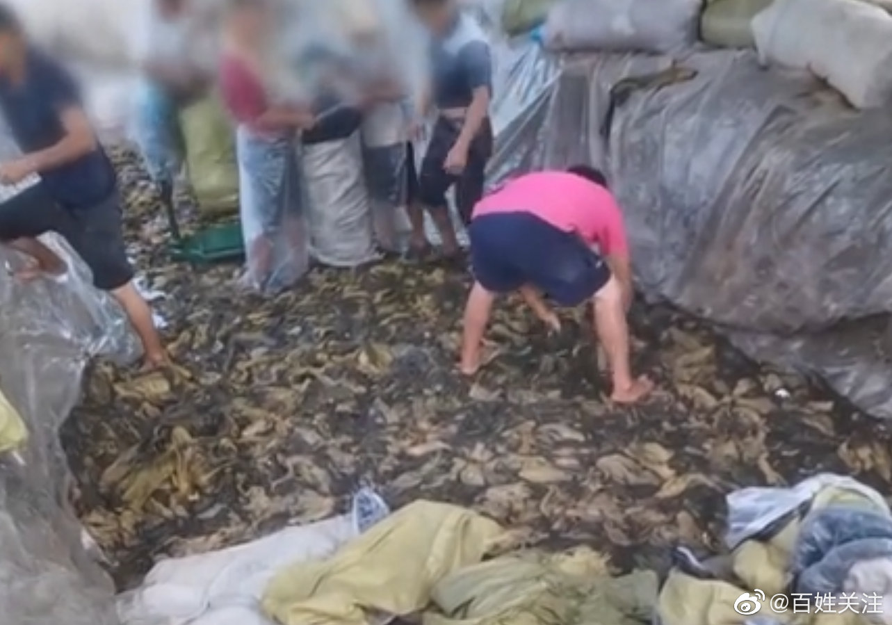 肯德基称插旗菜业并非其供应商：已勒令其撤下官网不实信息休闲区蓝鸢梦想 - Www.slyday.coM