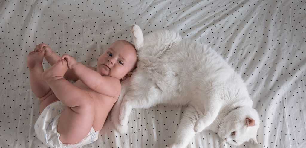 十多年前兴起的谣言,导致很多人把床都扔了,现依旧有人深信不疑休闲区蓝鸢梦想 - Www.slyday.coM 十多年前兴起的谣言,导致很多人把床都扔了,现依旧有人深信不疑休闲区蓝鸢梦想 - Www.slyday.coM