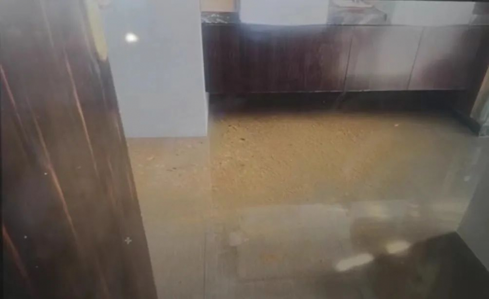 9500万买的汤臣一品遭粪水倒灌，业主：十多年没过舒坦日子休闲区蓝鸢梦想 - Www.slyday.coM