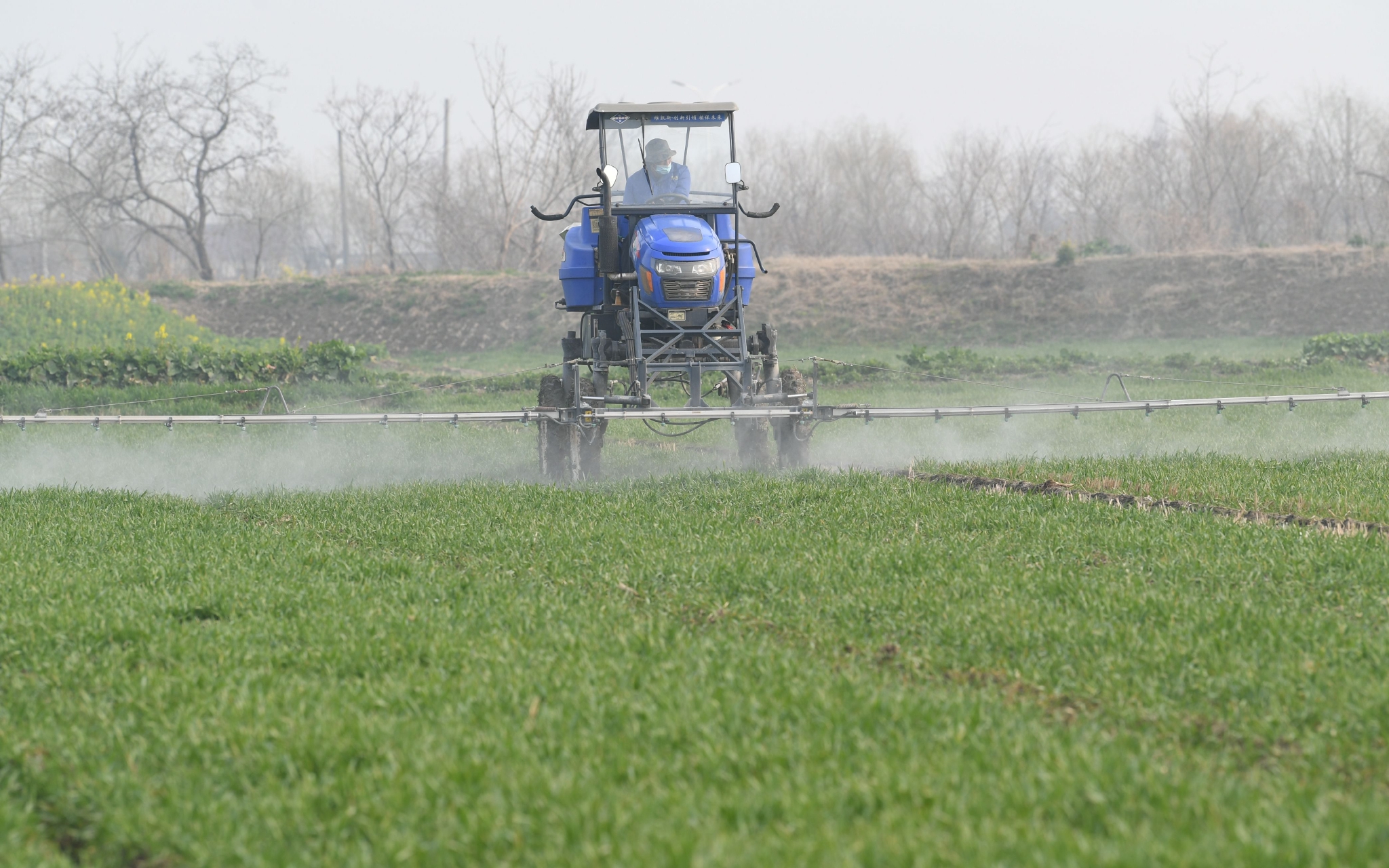 3月1日,江苏省兴化市江孙庄村,农机正在为冬小麦打药.