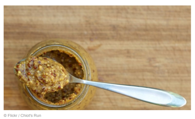 俄罗斯调味品也被制裁？美国一博物馆被指不再展示俄式芥末休闲区蓝鸢梦想 - Www.slyday.coM