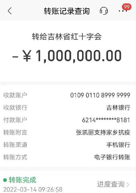 低调做好事！张凯丽捐款100万元支持吉林抗疫休闲区蓝鸢梦想 - Www.slyday.coM