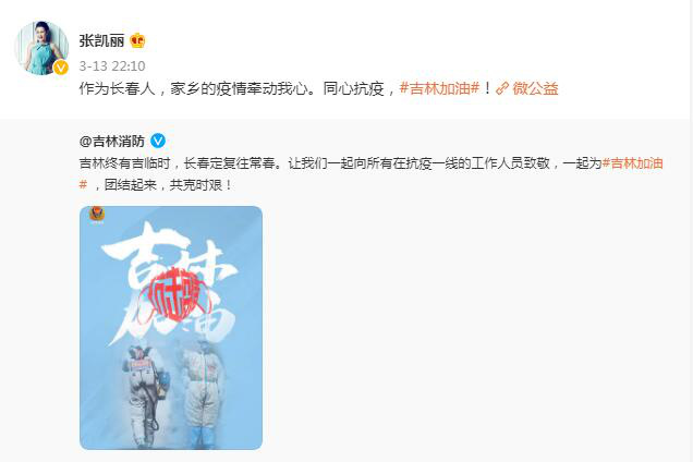 低调做好事！张凯丽捐款100万元支持吉林抗疫休闲区蓝鸢梦想 - Www.slyday.coM