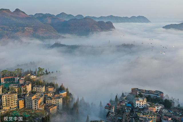贵州纳雍:山城被云海笼罩宛如仙境|云海|毕节市|贵州省_新浪新闻