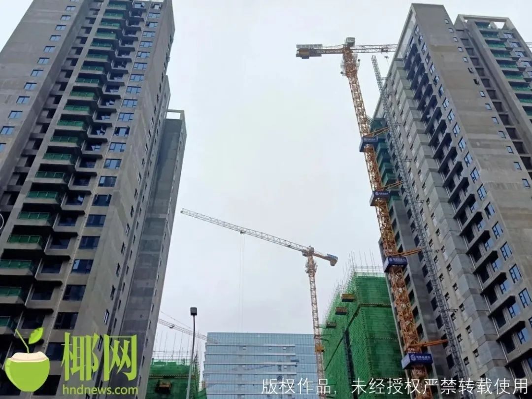 邓伦偷逃税被处罚并追缴1.06亿元休闲区蓝鸢梦想 - Www.slyday.coM