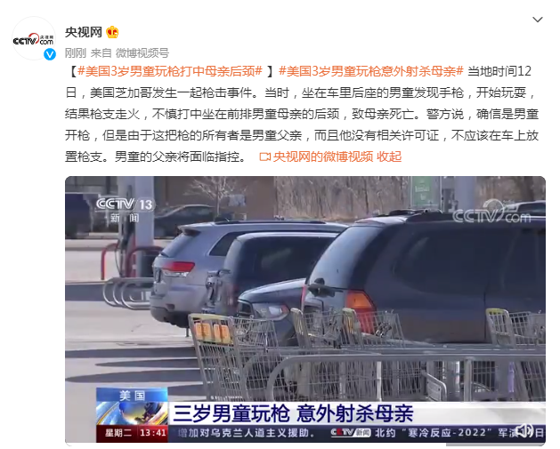 美国3岁男童玩枪意外射杀母亲休闲区蓝鸢梦想 - Www.slyday.coM