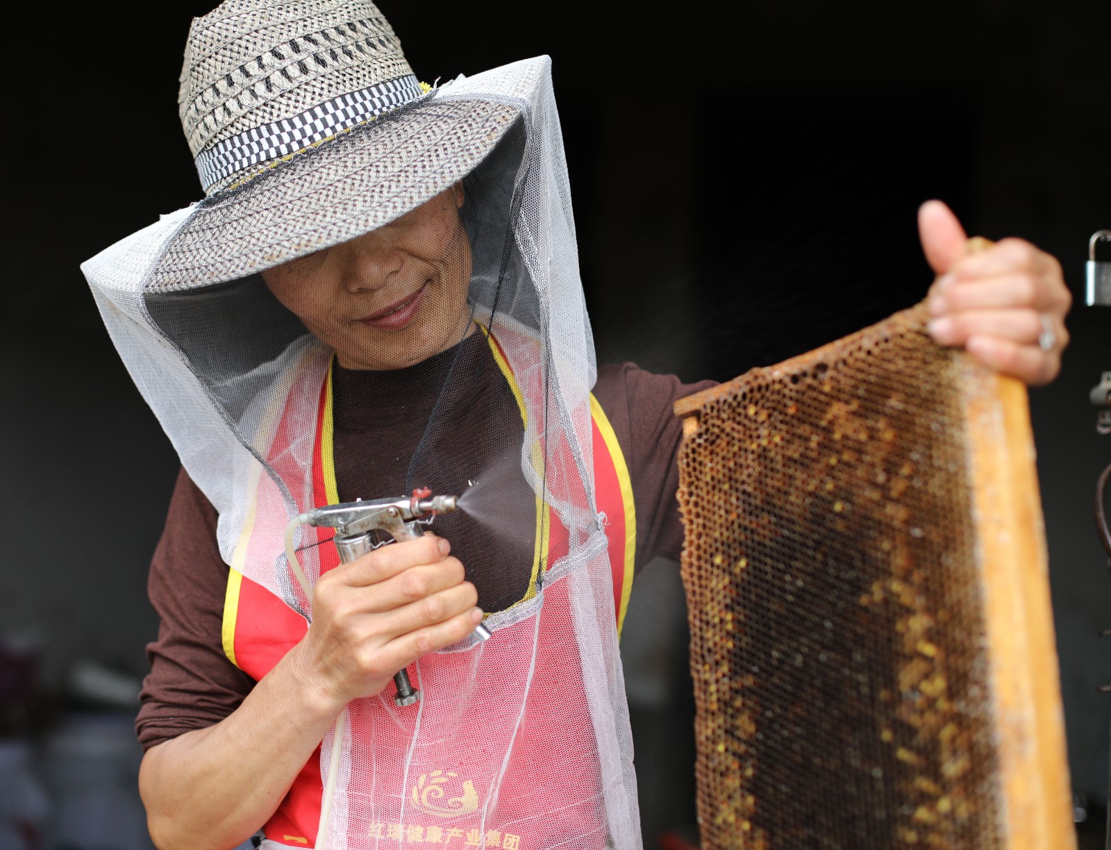 湖南道县春暖花开迎蜂收